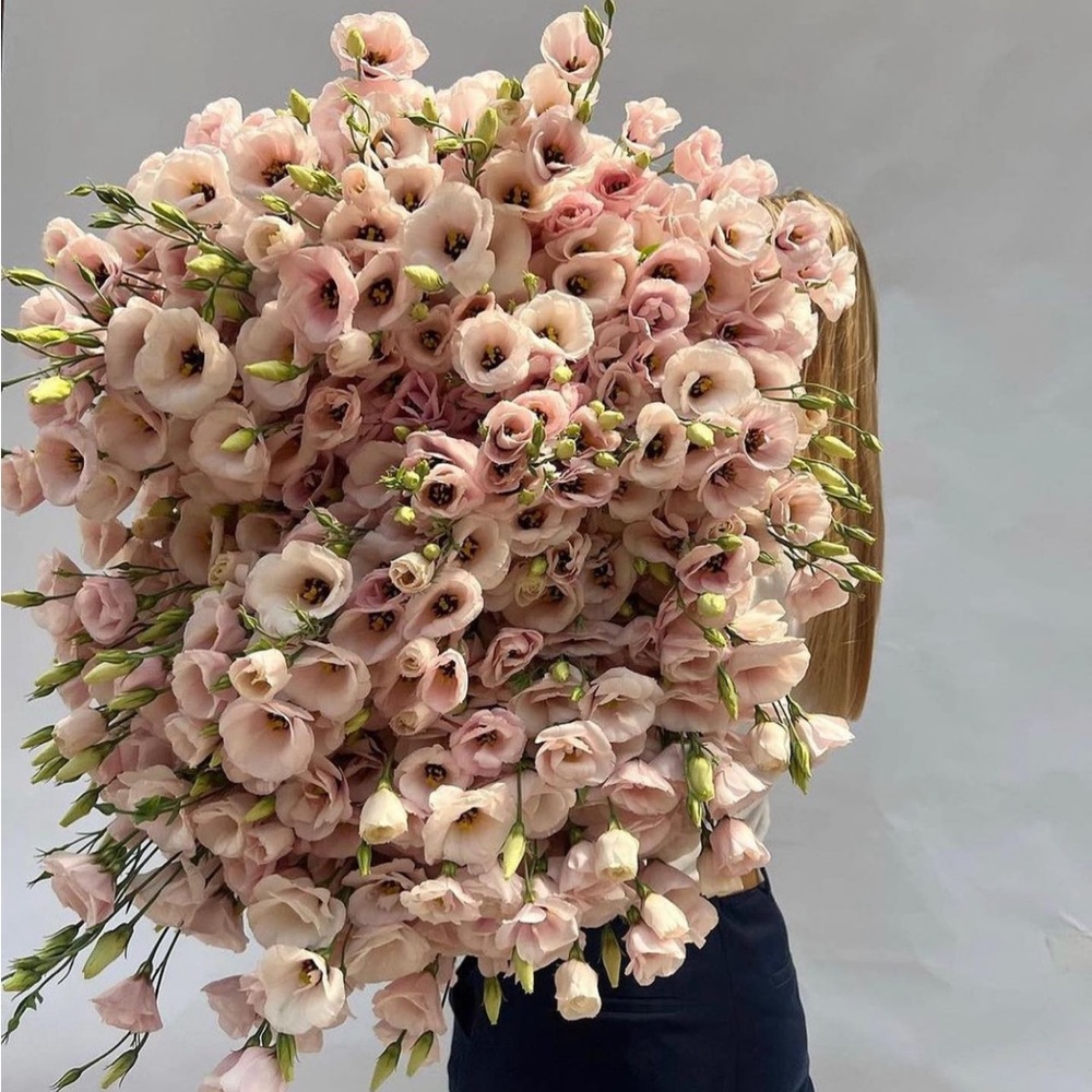 Bundle 3 ( items under $100 ) and save 20percent off. plus free ship